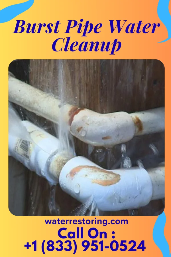 Burst Pipe Water Cleanup in Richwood, TX
