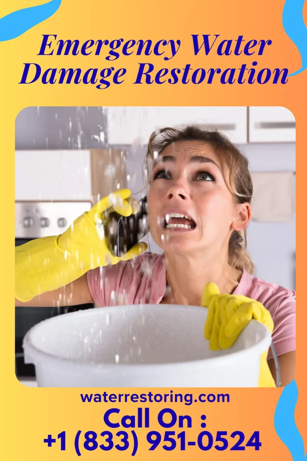Emergency Water Damage Restoration in Richwood, TX